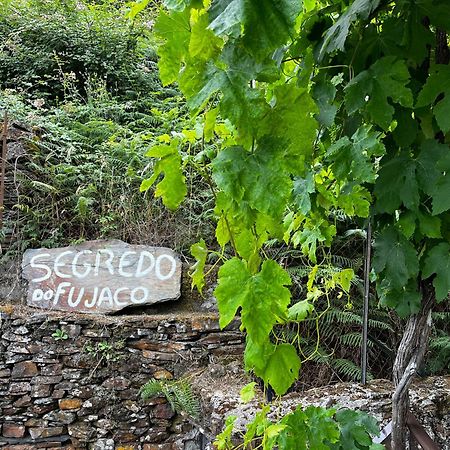 فيلا São Pedro do Sulفي O Segredo Do Fujaco المظهر الخارجي الصورة