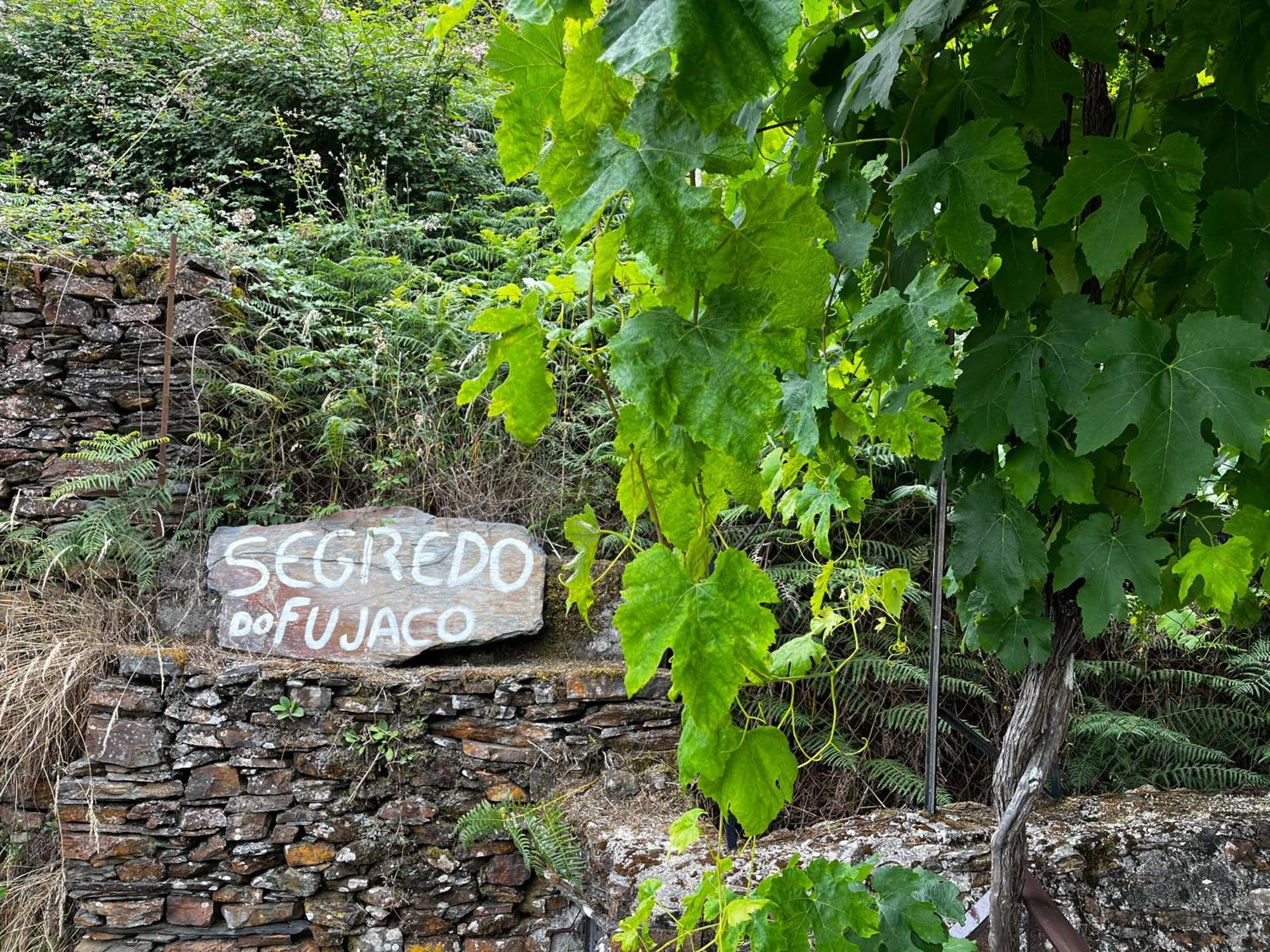 فيلا São Pedro do Sulفي O Segredo Do Fujaco المظهر الخارجي الصورة